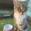 Photo of Penelope