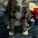 Photo of Phoenix