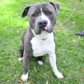 Photo of Stretch 35122
