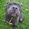 Photo of Zeus 35144