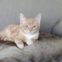 Photo of Honey Quackenbush