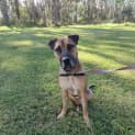 Photo of Thor