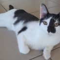 Photo of Mitzi