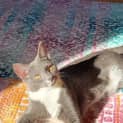 Photo of Sunday & Wednesday