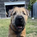 Photo of Odin