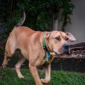 Photo of Vincent