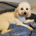 Photo of Kody