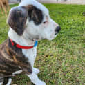 Photo of Kenzo
