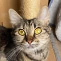 Photo of Jellybean
