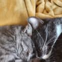 Photo of Mr Boots