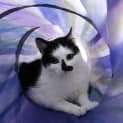 Photo of Sugar