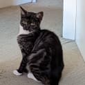 Photo of Spooky