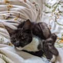 Photo of Spooky