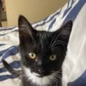 Photo of Maverick