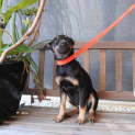 Photo of Eva