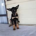 Photo of Addie