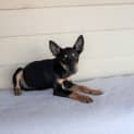 Photo of Addie