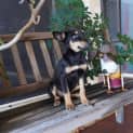 Photo of Addie