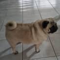 Photo of Marnie