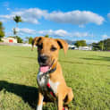 Photo of Tabitha
