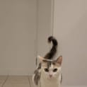 Photo of Floppy