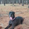 Photo of Xena
