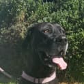 Photo of Xena