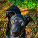 Photo of Zumba