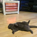 Photo of Jazz And Puds
