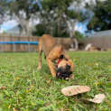 Photo of Trixy