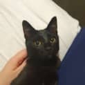 Photo of Tommie