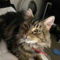 Photo of Alley