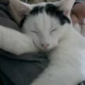 Photo of Gretel
