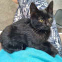 Photo of Coco