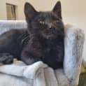 Photo of Coco