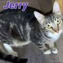 Photo of Jerry