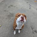 Photo of Rave