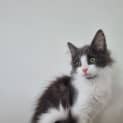Photo of Ralph