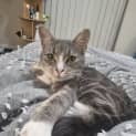 Photo of Fiona