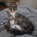 Photo of Fiona