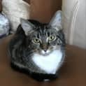 Photo of Skully