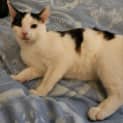 Photo of Twyla