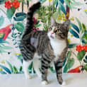 Photo of Olivia   Located In Westmeadows