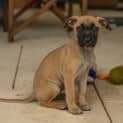 Photo of Lainey