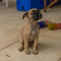 Photo of Lainey