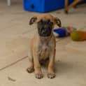 Photo of Lainey