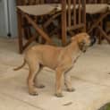 Photo of Lainey