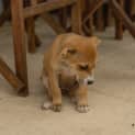 Photo of Malia