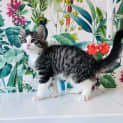 Photo of Kenny Located In Preston
