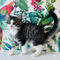 Photo of Kenny Located In Preston